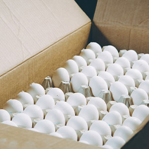 Farm Fresh Eggs